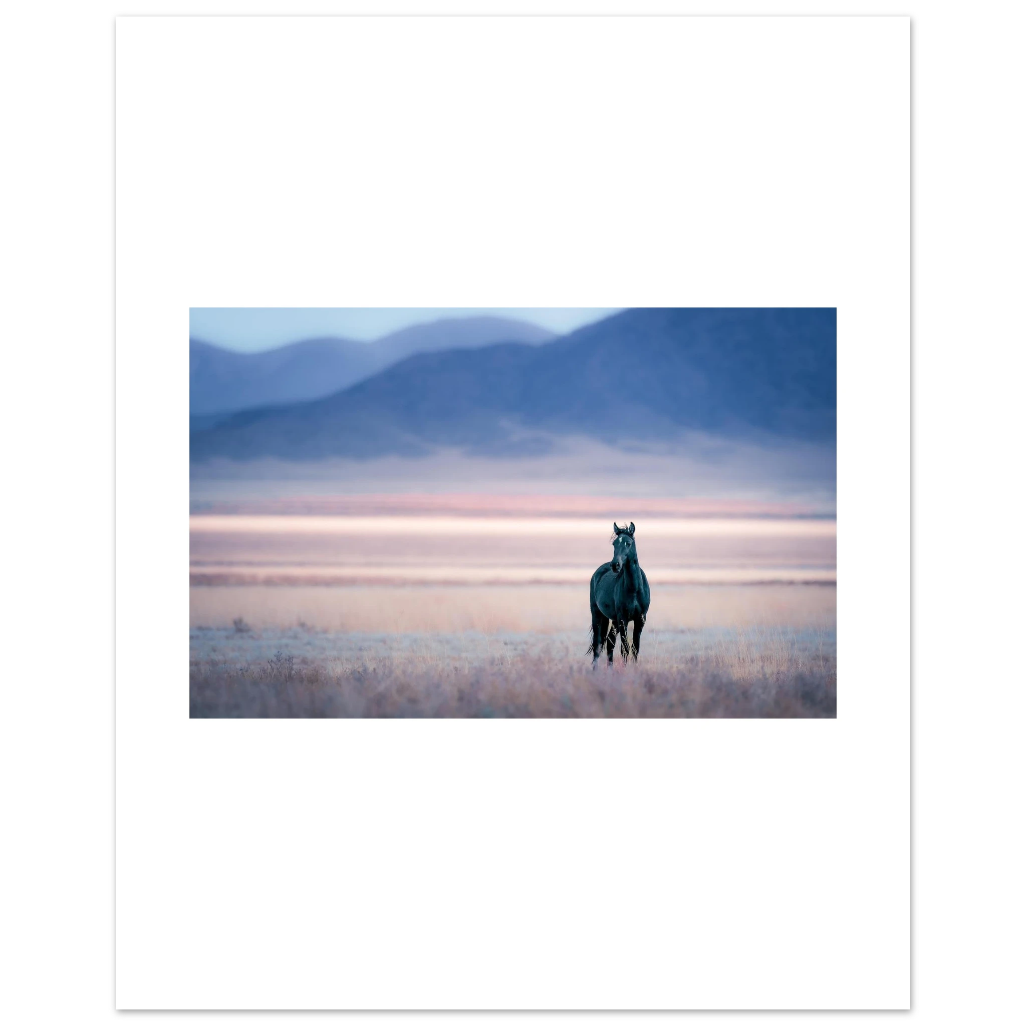 3388904e-fd10-4e43-9725-78af29461e84