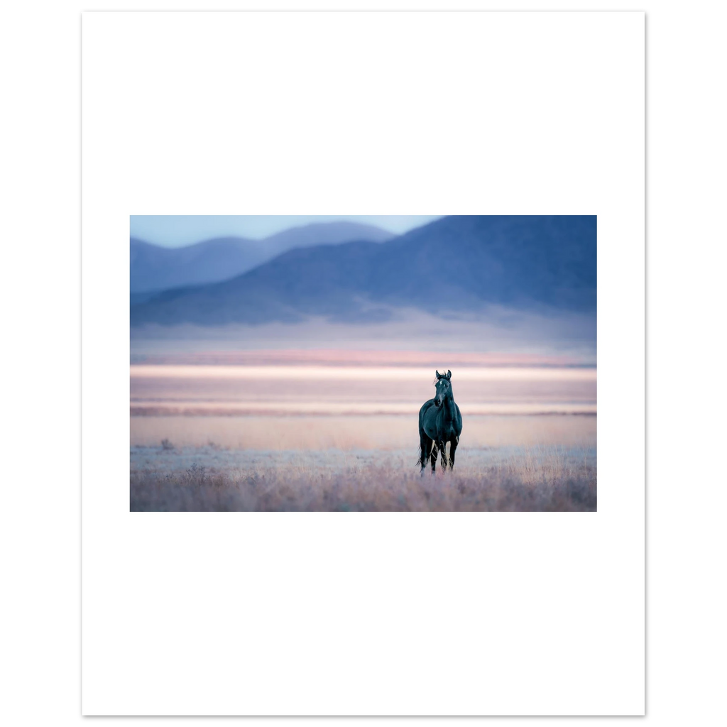 5ba5960c-71b8-4474-88b8-2098993e097c