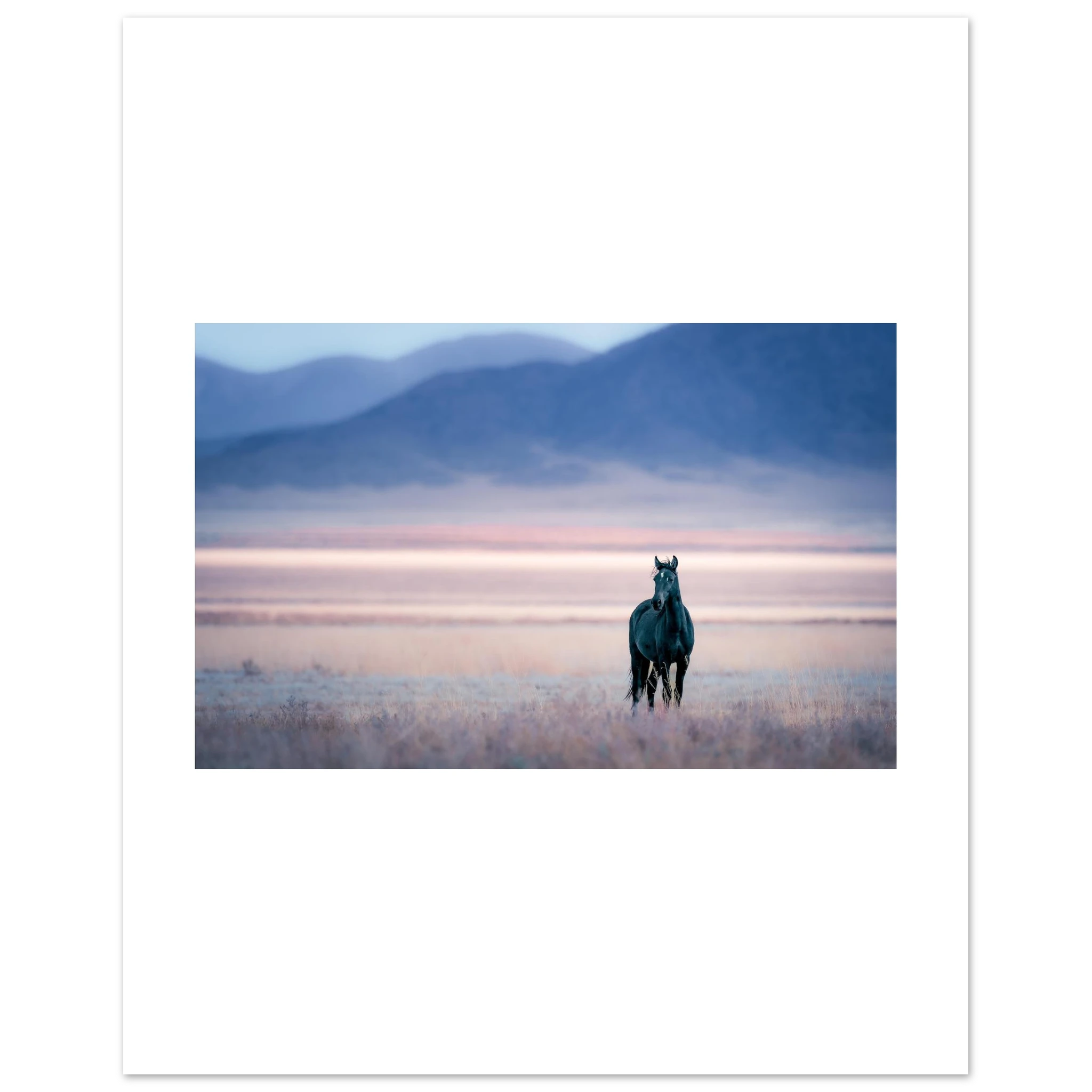 5ba5960c-71b8-4474-88b8-2098993e097c