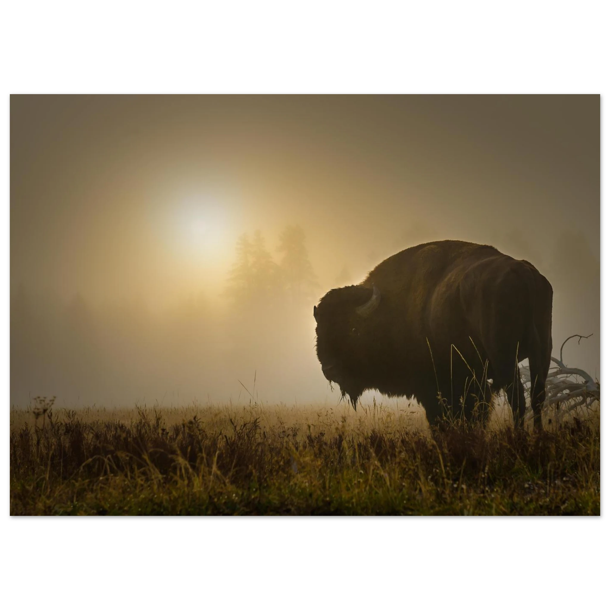 718bdebe-3fdb-4f54-9f2e-9f8bec5e8b94