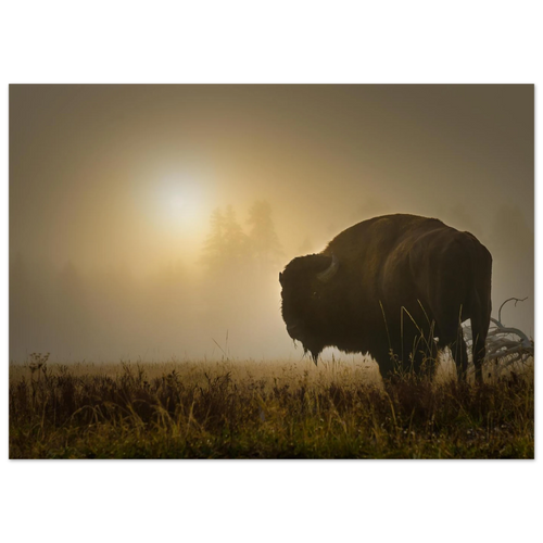 718bdebe-3fdb-4f54-9f2e-9f8bec5e8b94