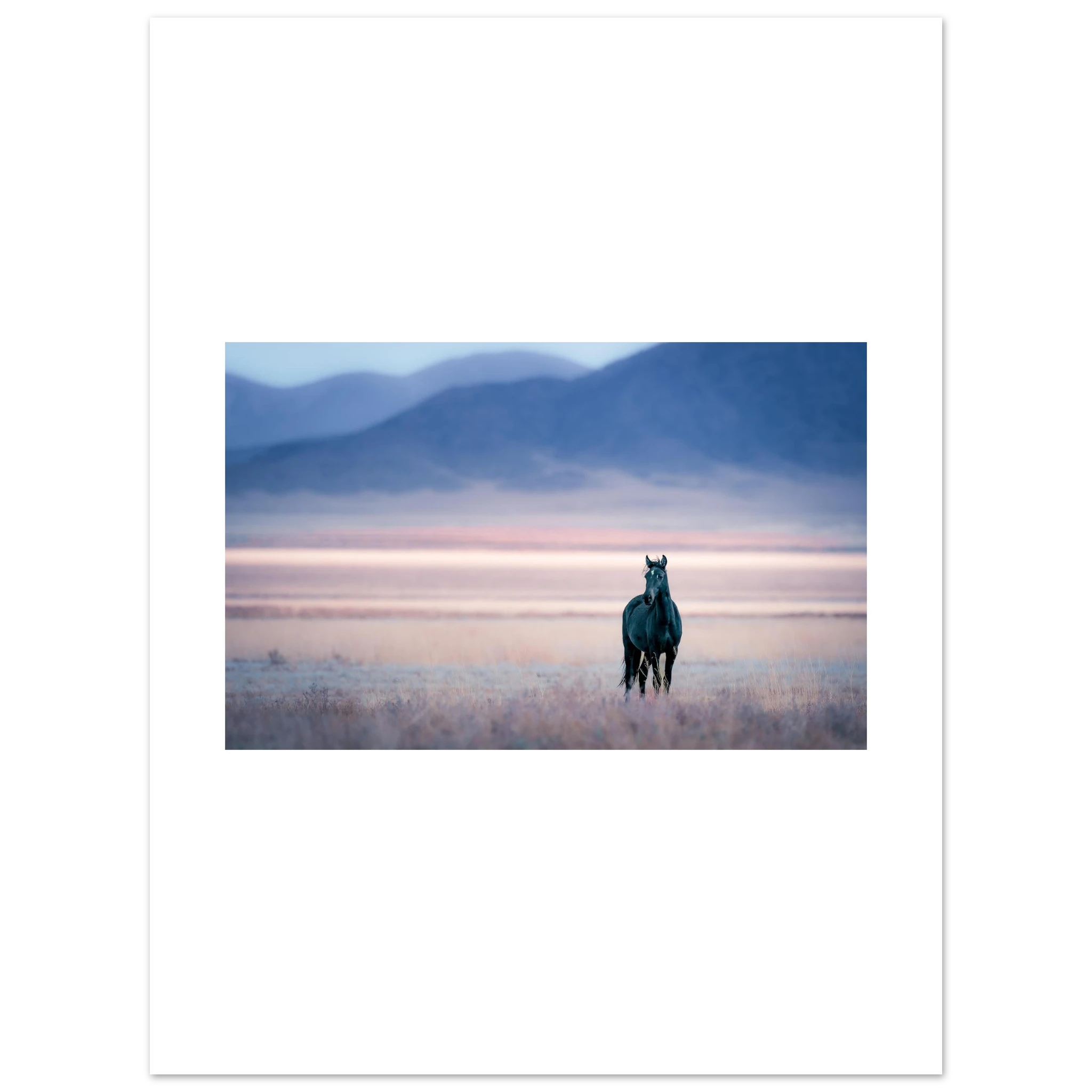 be5ad12d-65fa-4e80-9c1c-e7d4a8a69186